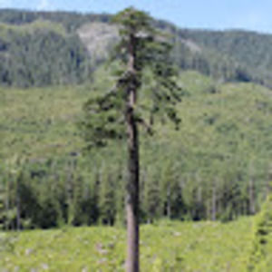 Meet your Posher, Lee